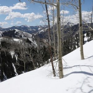 Meet your Posher, Stephen